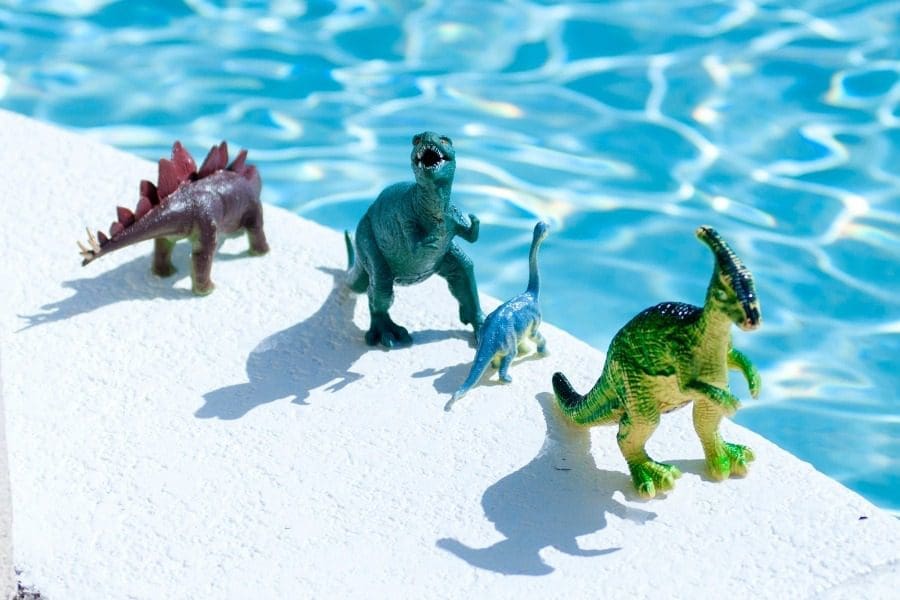 swimming pool accident